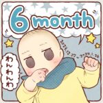 ポコ太郎０歳６ヶ月